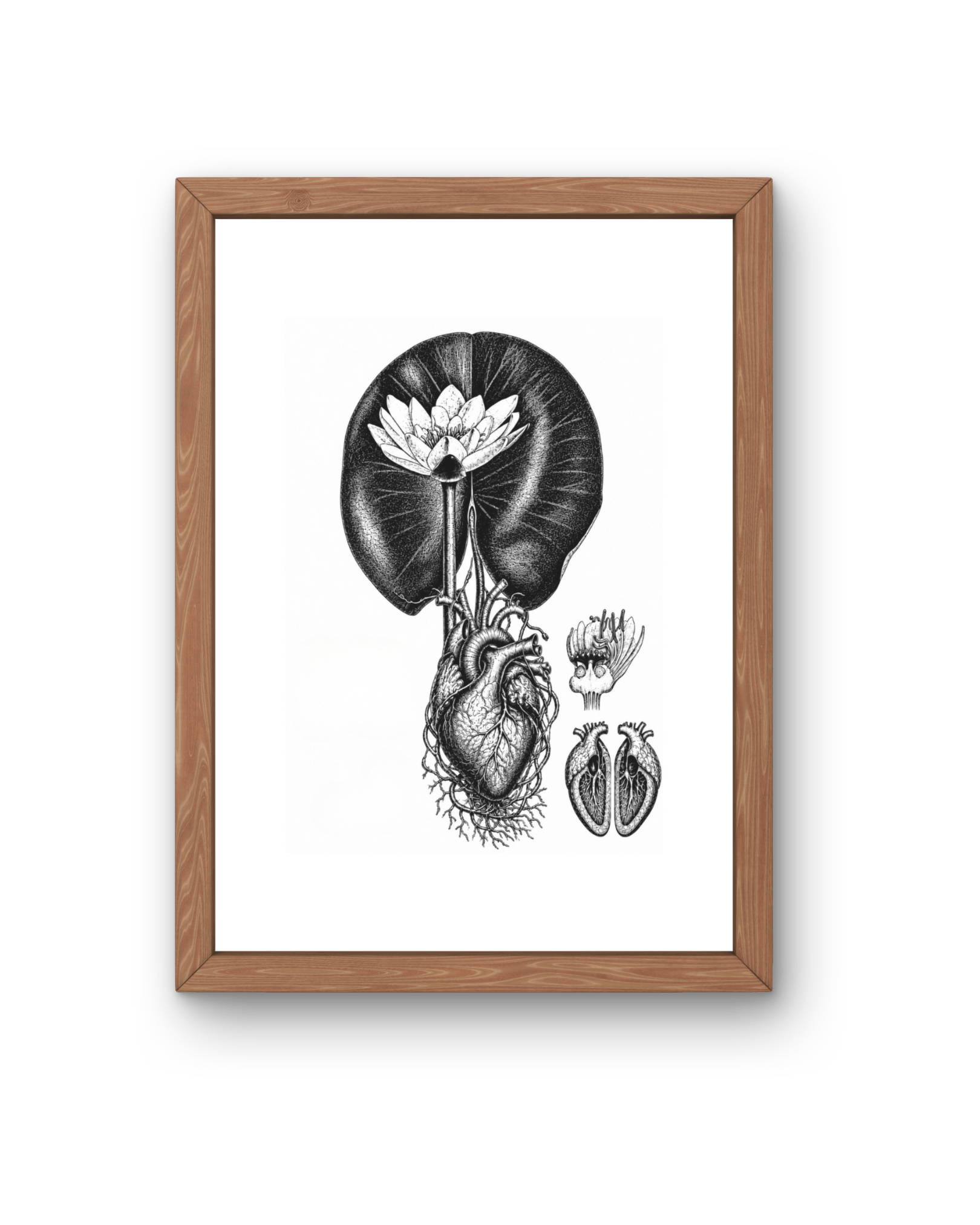 BOTANICA No 10