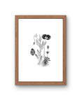 BOTANICA No 03