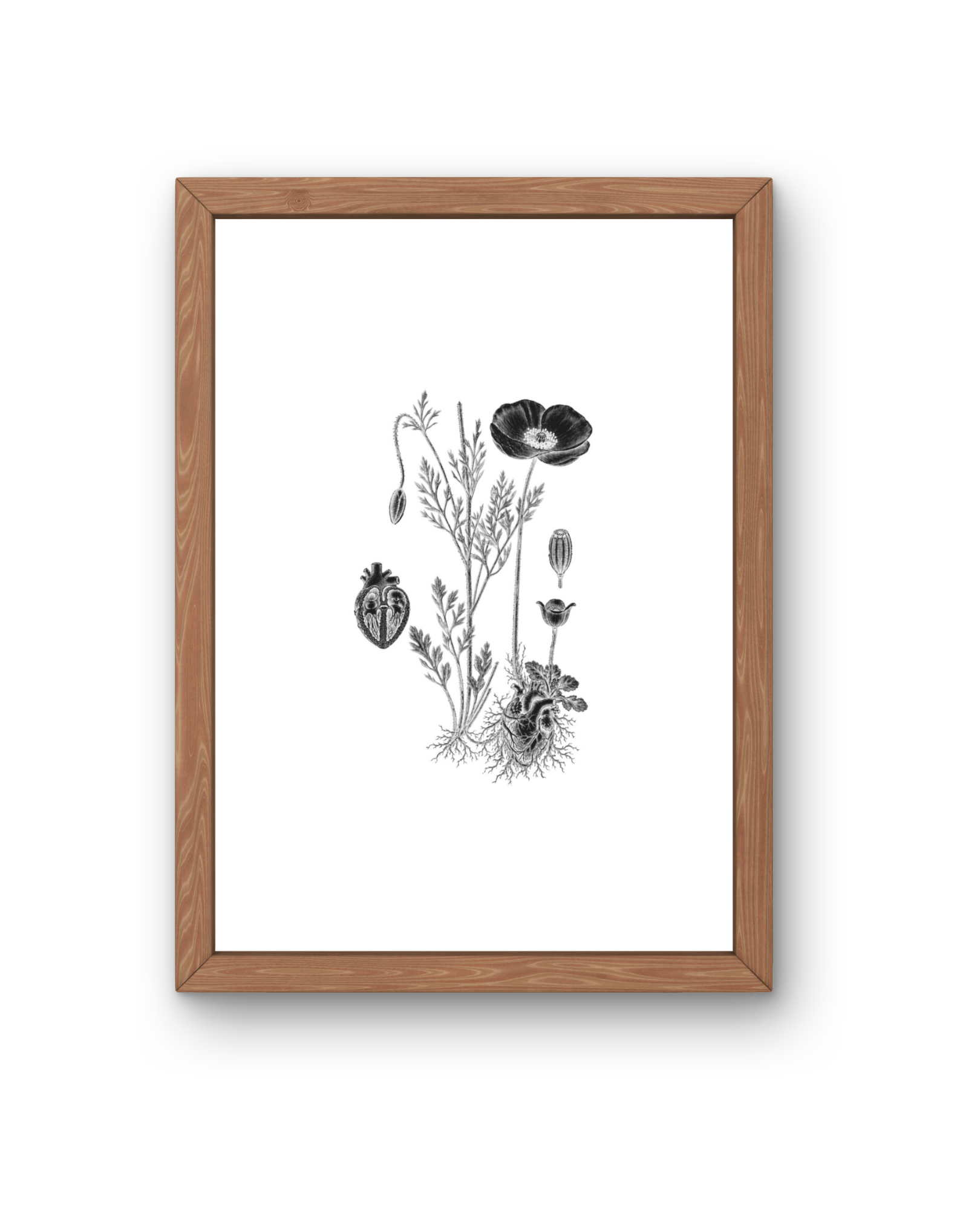 BOTANICA No 03