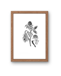 BOTANICA N0 06