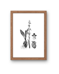 BOTANICA No 09