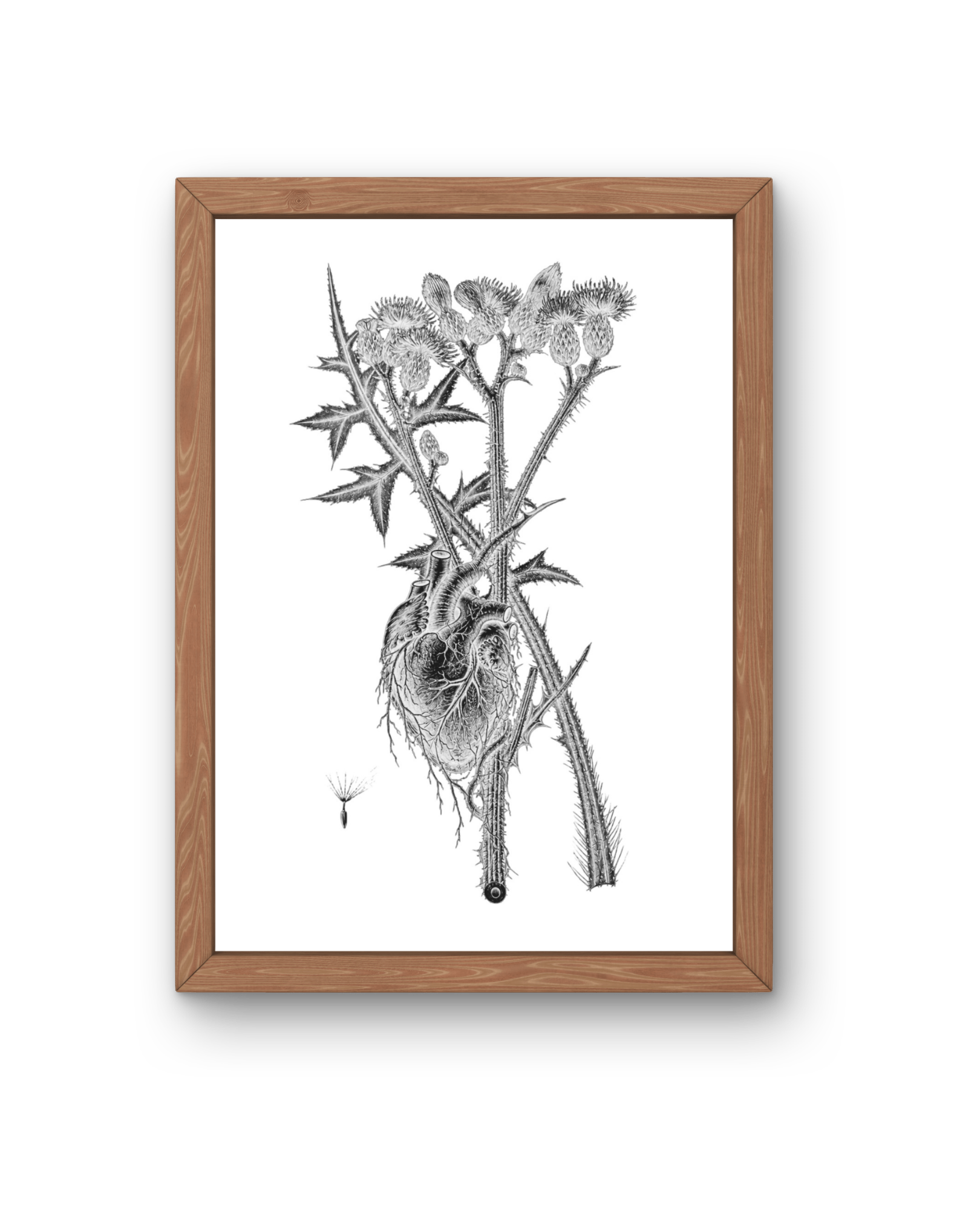 BOTANICA No 04