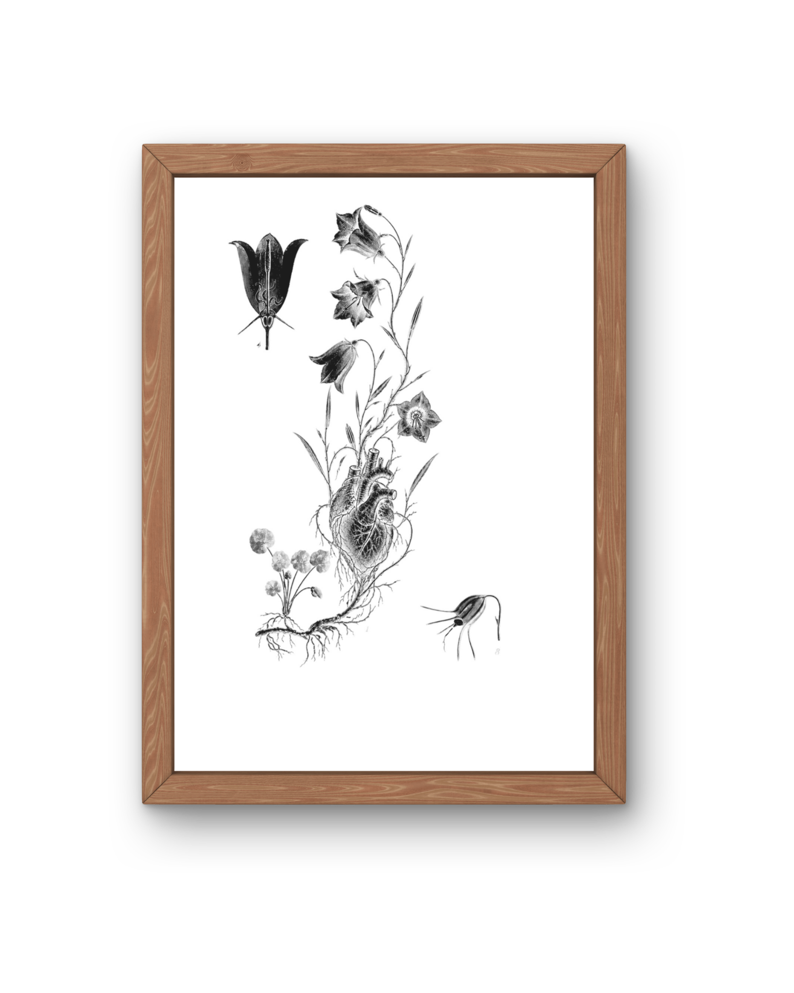 BOTANICA No 08