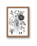 BOTANICA No 01