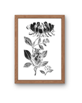 BOTANICA No 05