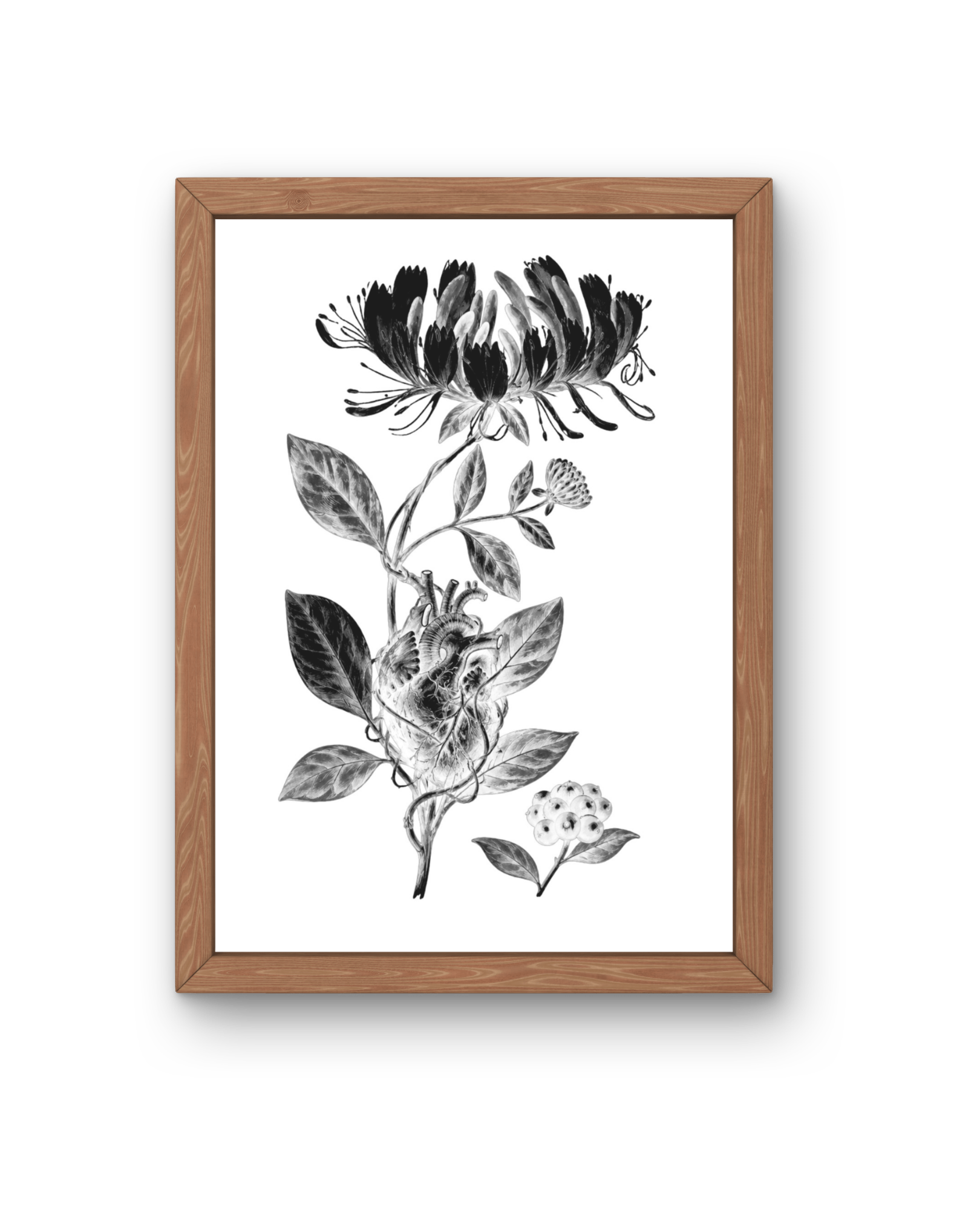 BOTANICA No 05